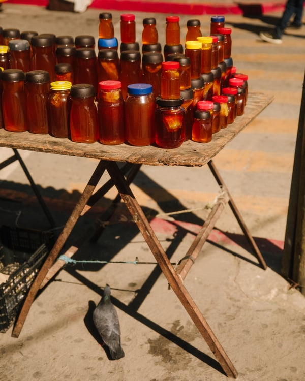 BajaCalifornia 309
