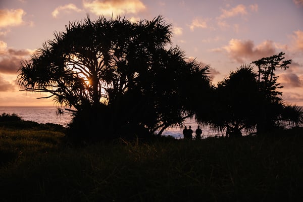 190331 PRS Maui 1514
