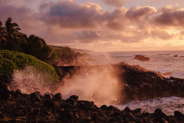190331 PRS Maui 1522