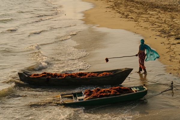03 190506 RR SEAWEED 1099