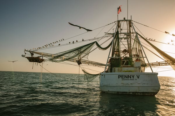 181229 PRS Florida 1867